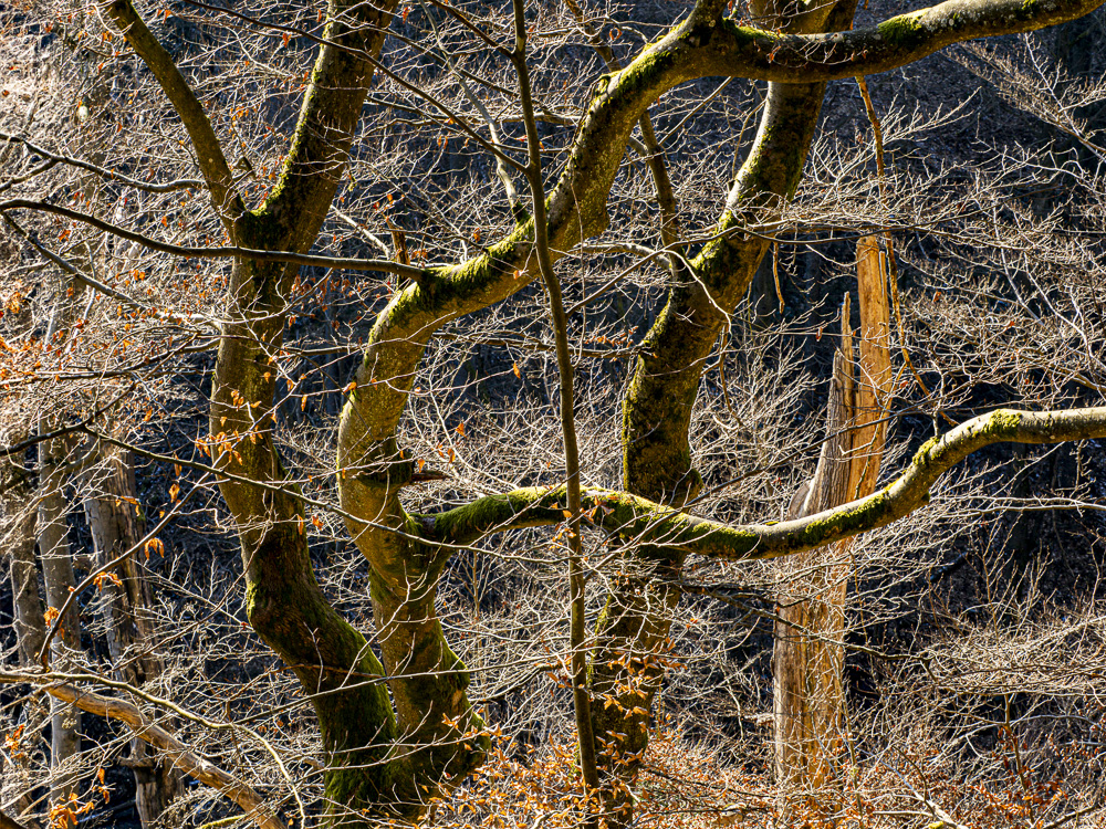 Chaos, Licht, Struktur