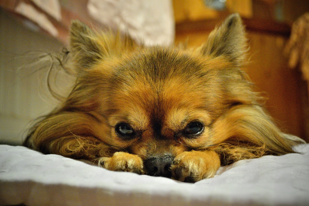 charly bearbeitet