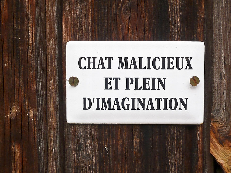 CHAT MALICIEUX