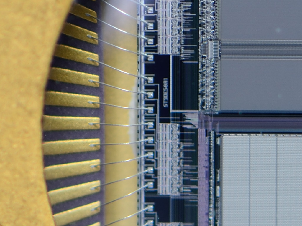 Chip Cropb 1024w