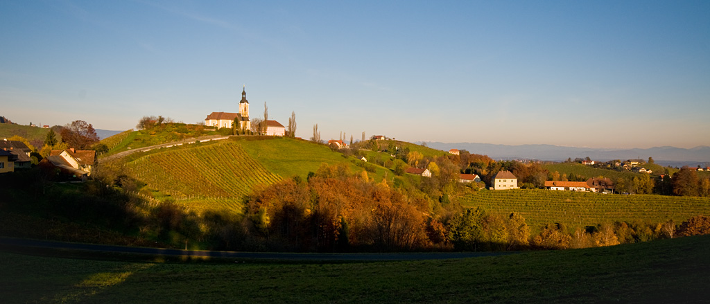 CHL 8129