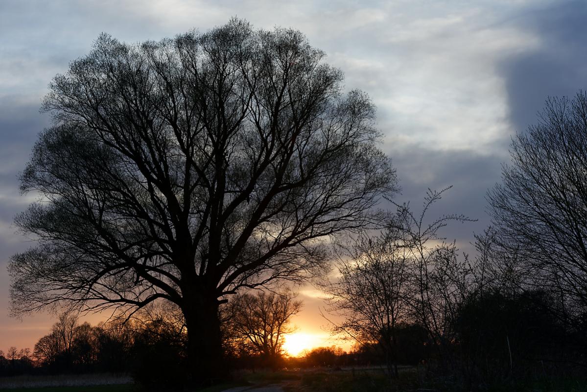 Christian Röß 30NikonD750 3 DxO DxO Sonnenuntergang im Ampertal bei Kirchdorf BY