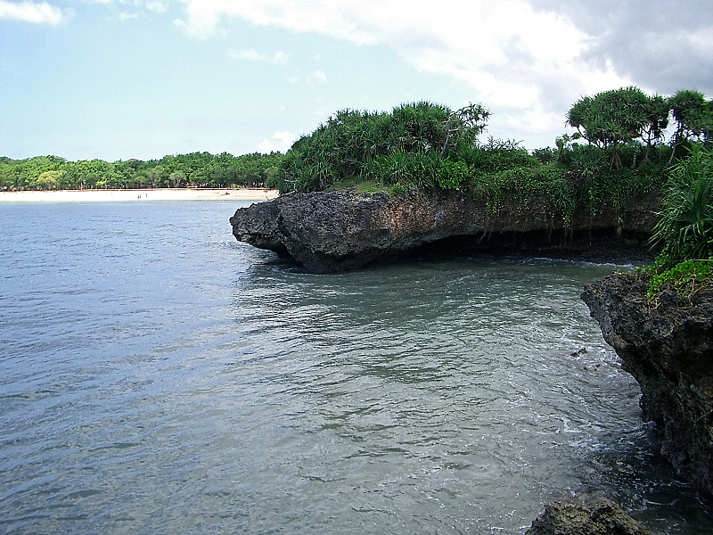 CIMG0203.jpg