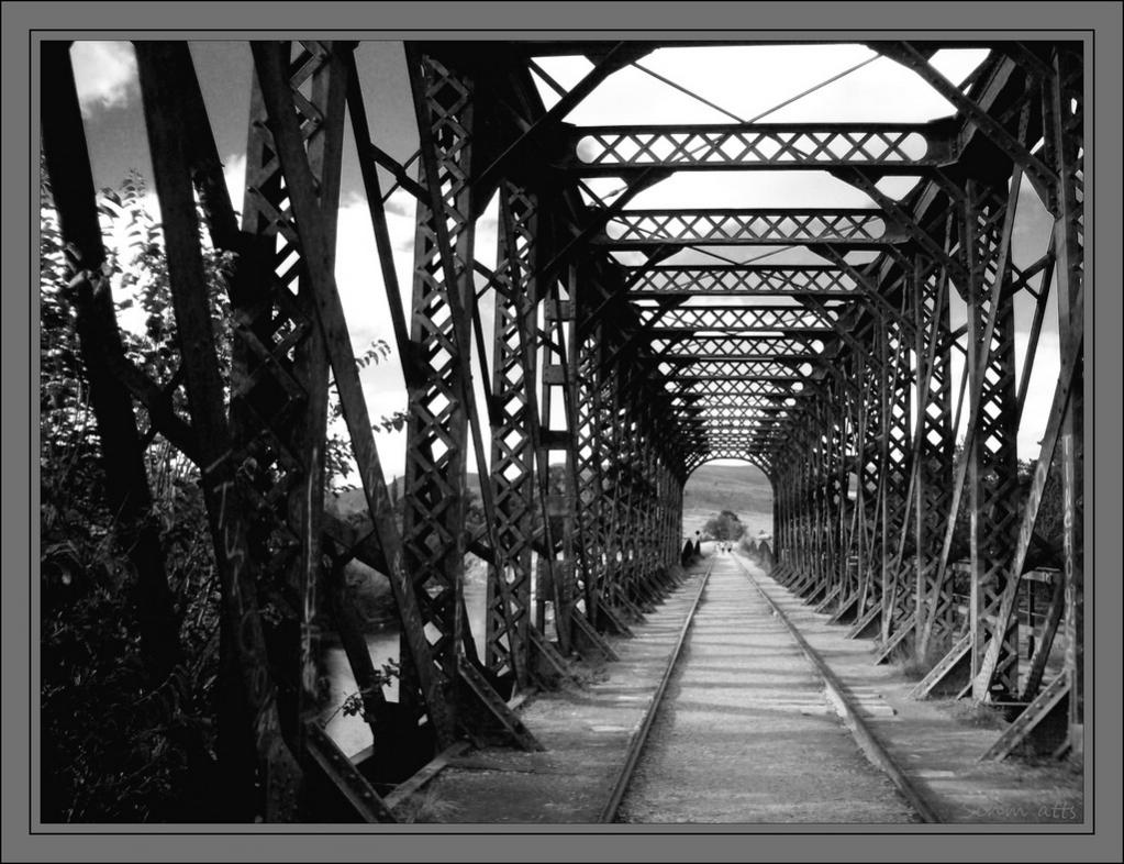 CIMG4522sw IrfV W 1000pix