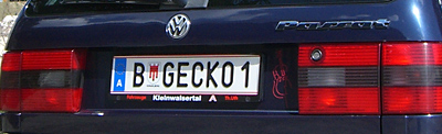 CIMG6027