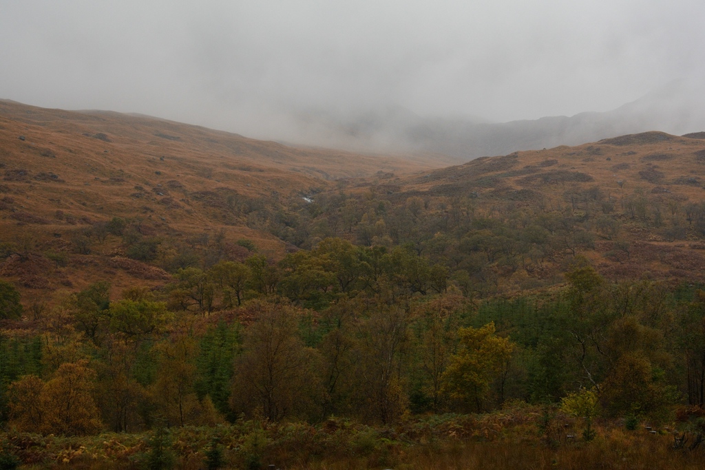 cIsle of Mull 1233