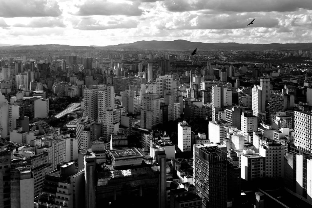 city sw web