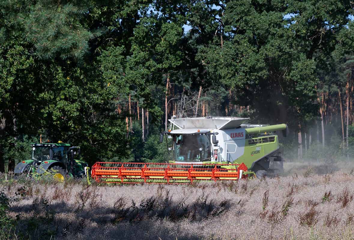 Claas Lexion 760 - 3.jpg