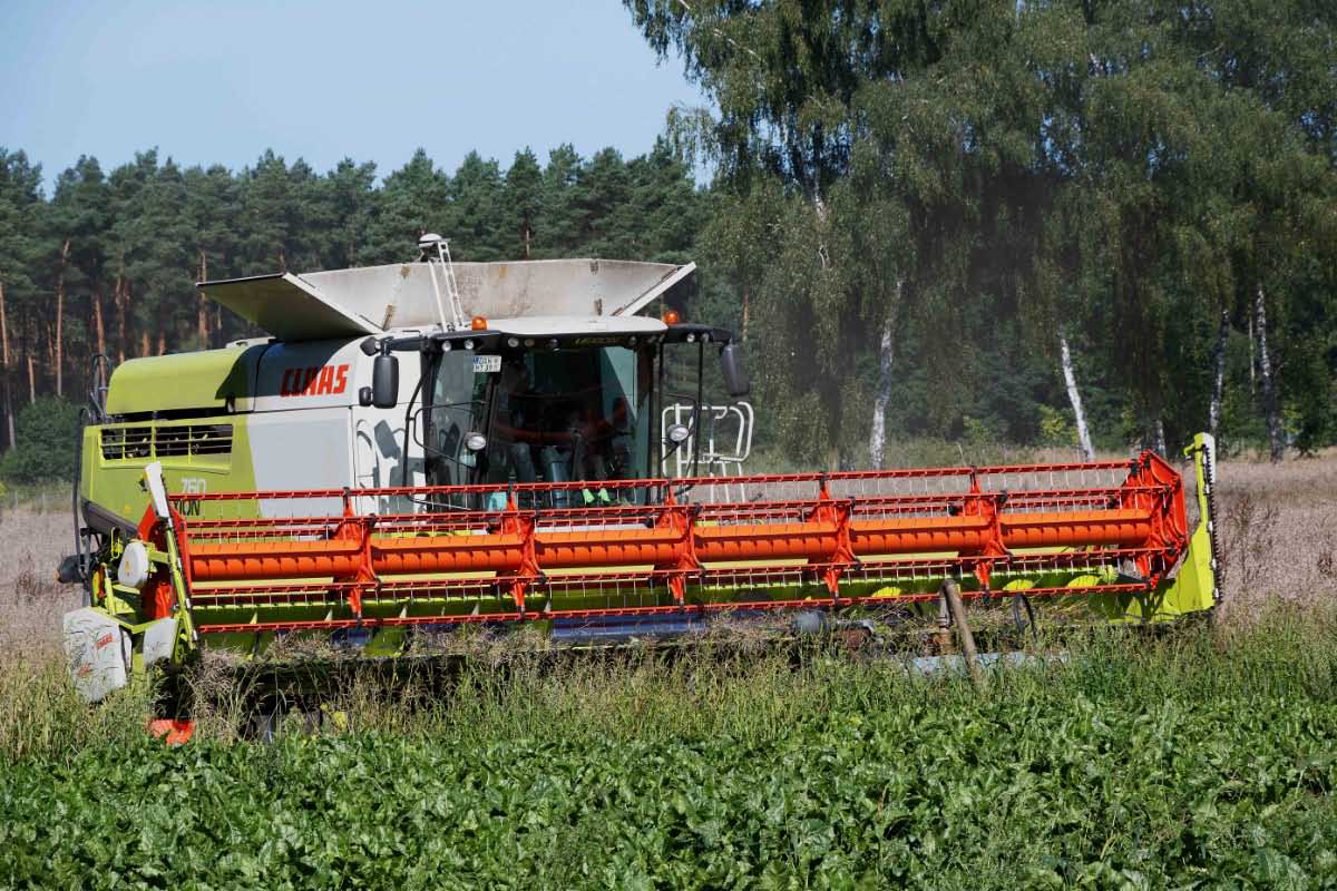 Claas Lexion 760.jpg