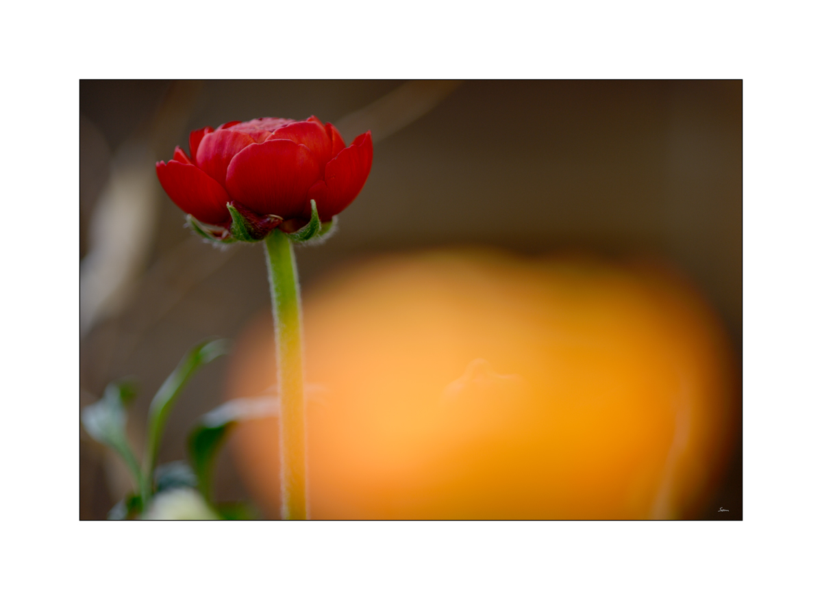 ClaudiaPZ1 0108 00029