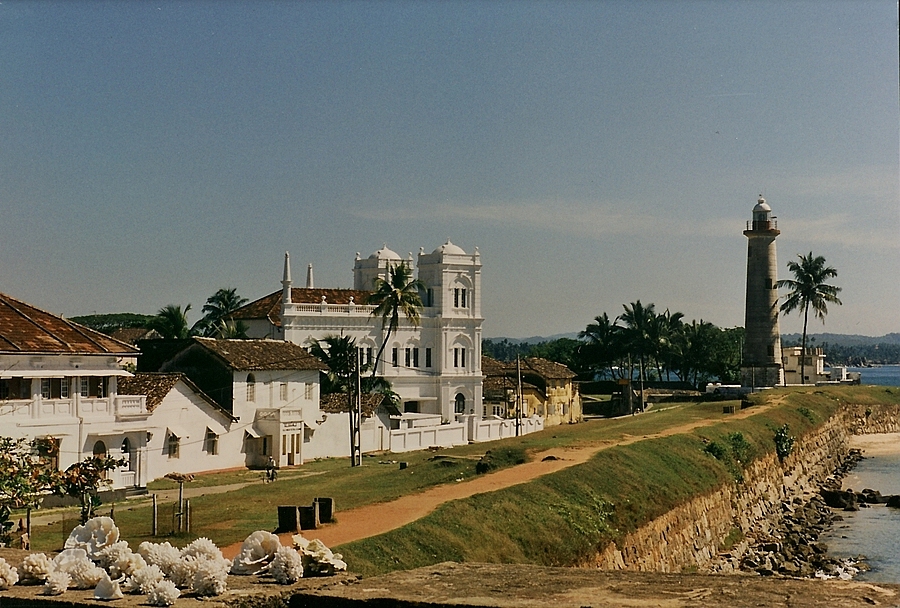 co imm024b