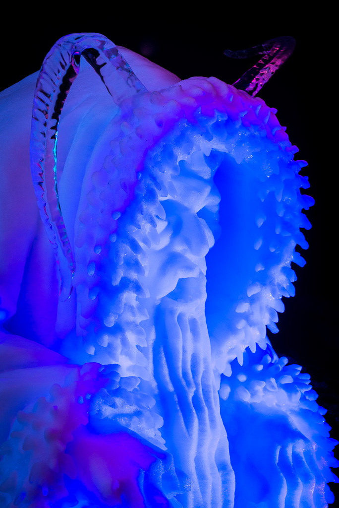 Cold as Ice 4388