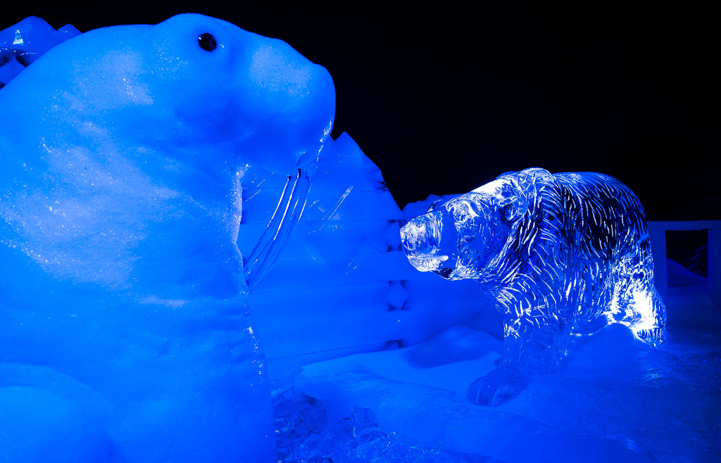 Cold as Ice