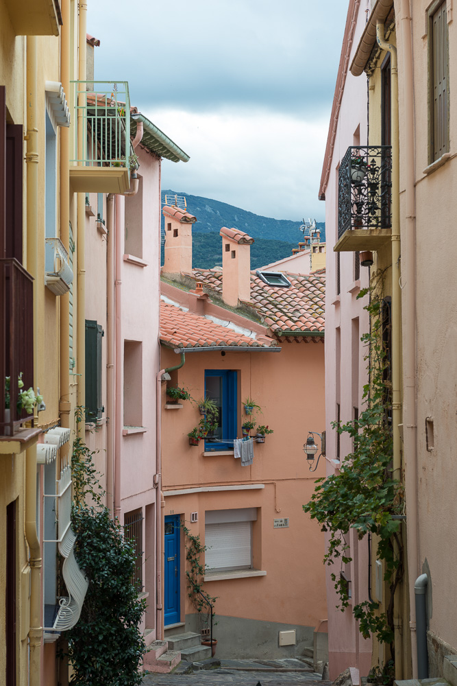 Collioure 014