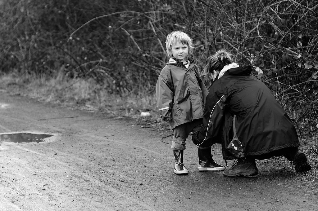comp 10A 1684 90 raw