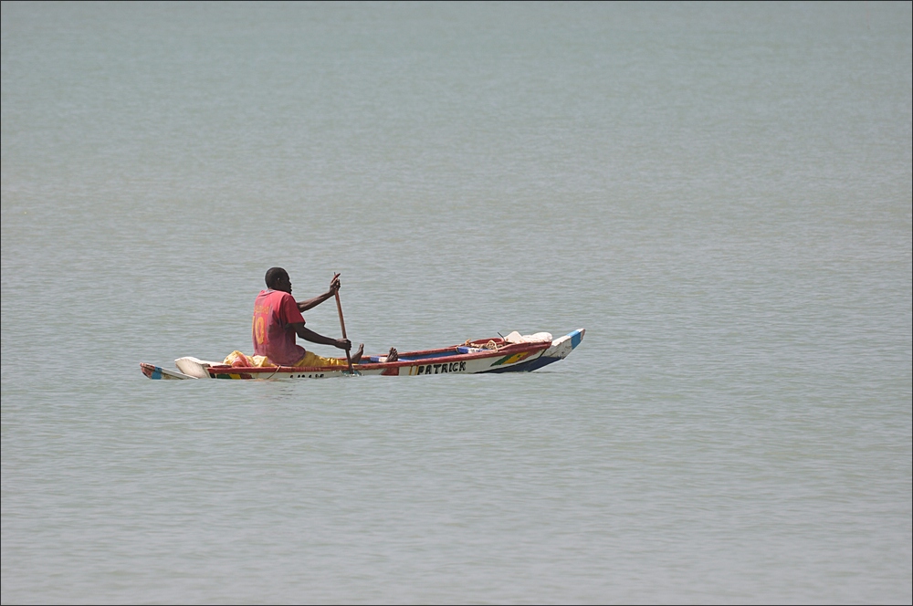 comp 2 1Senegal 1 389b