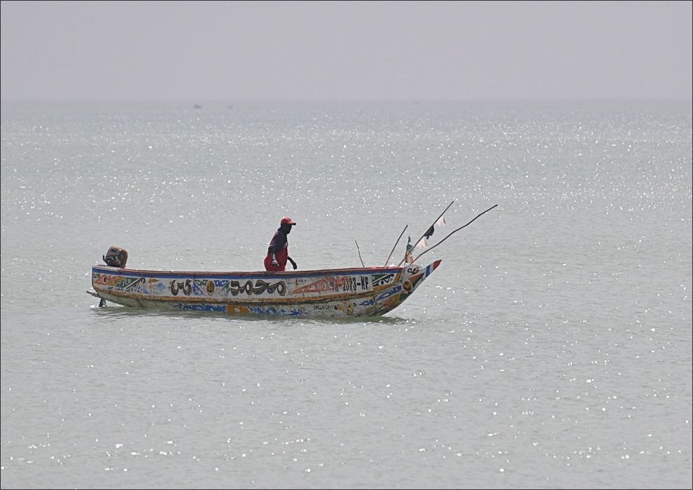 comp 2 2Senegal 1 394b