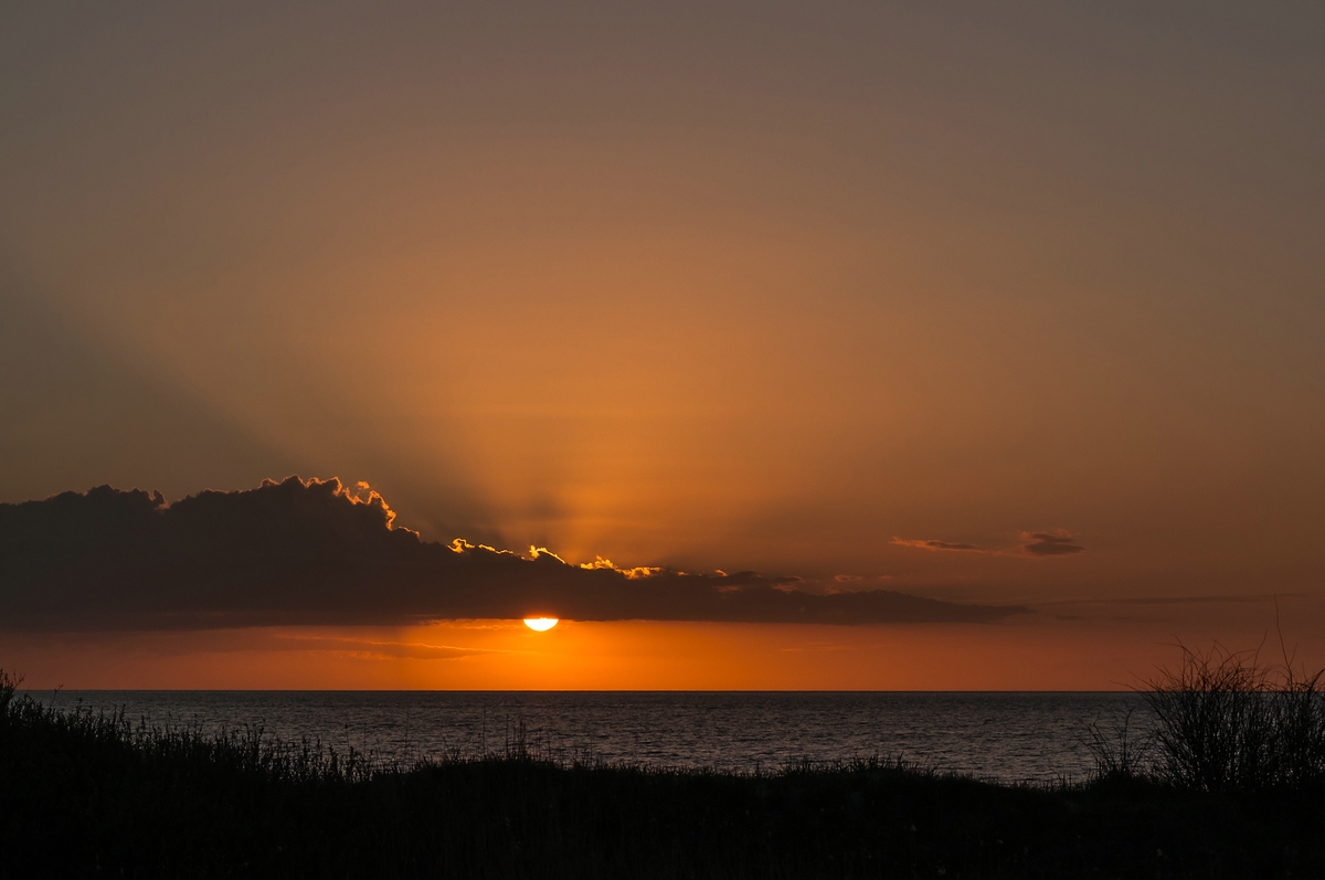 comp 20160422 DSC 6786 2