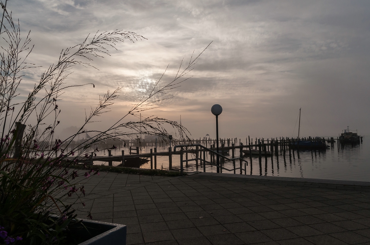 comp 20161026 DSC 7713