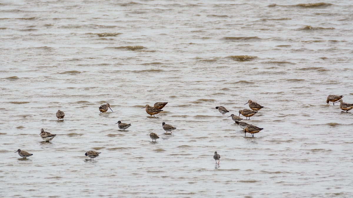 comp 20170817 DSC 6136