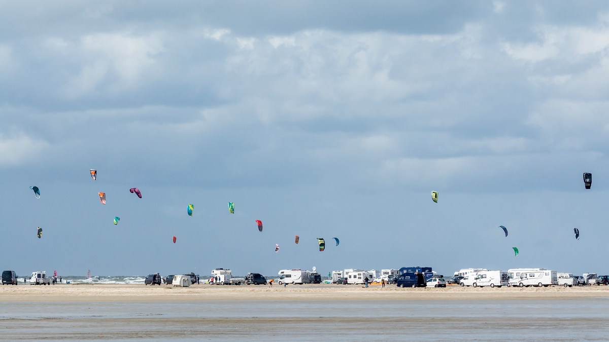 comp 20170819 DSC 6183