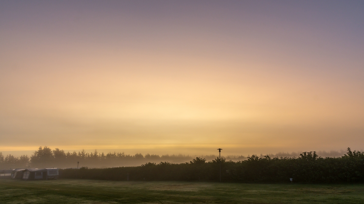 comp 20170823 DSC 6193