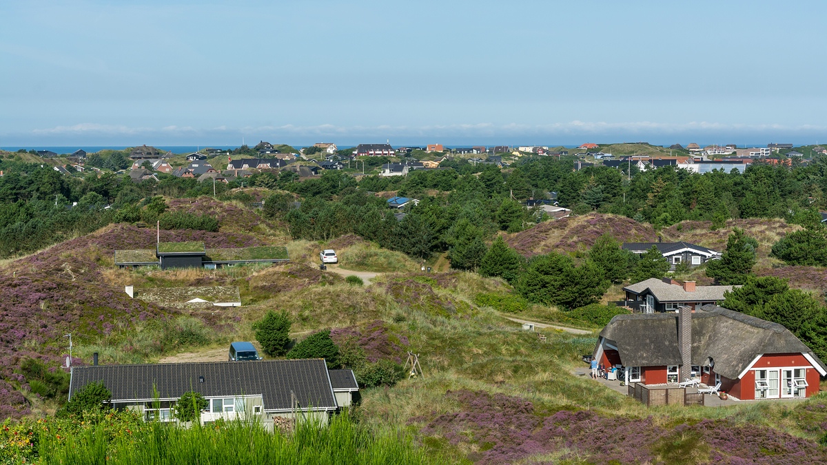 comp 20170823 DSC 6197