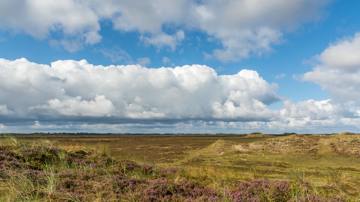 comp 20170827 DSC 6246