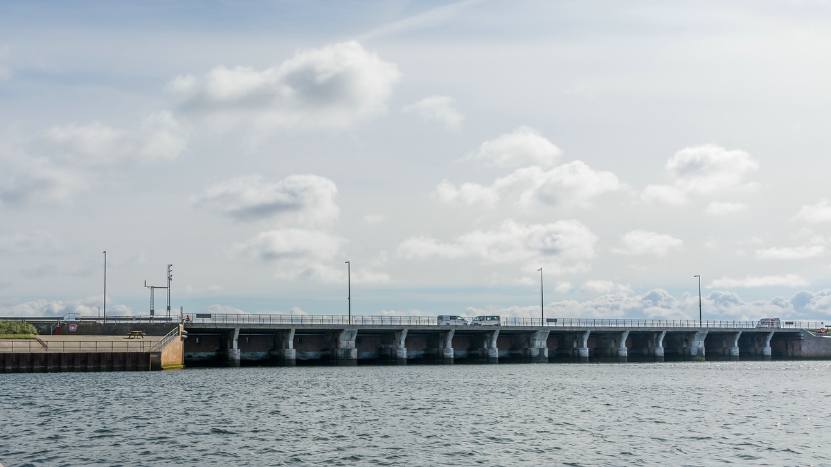 comp 20170828 DSC 6267