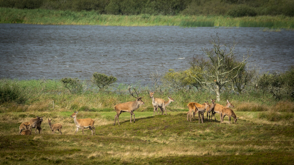 comp 20170912 DSC 6400 21