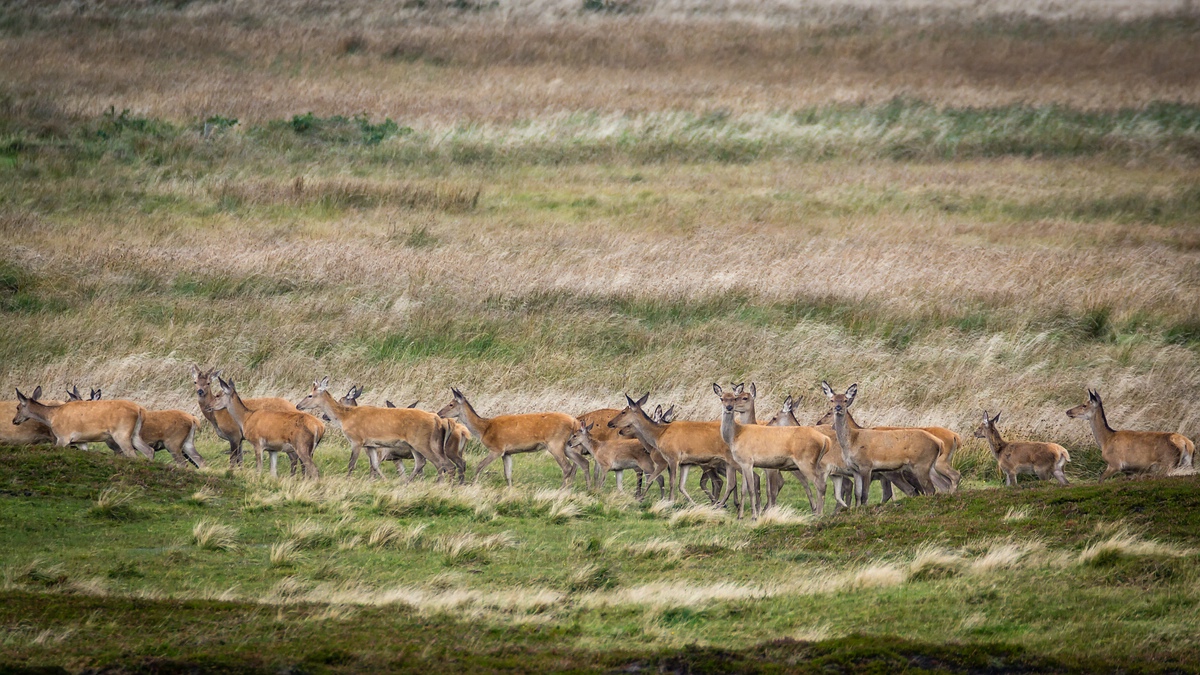 comp 20170912 DSC 6417 21
