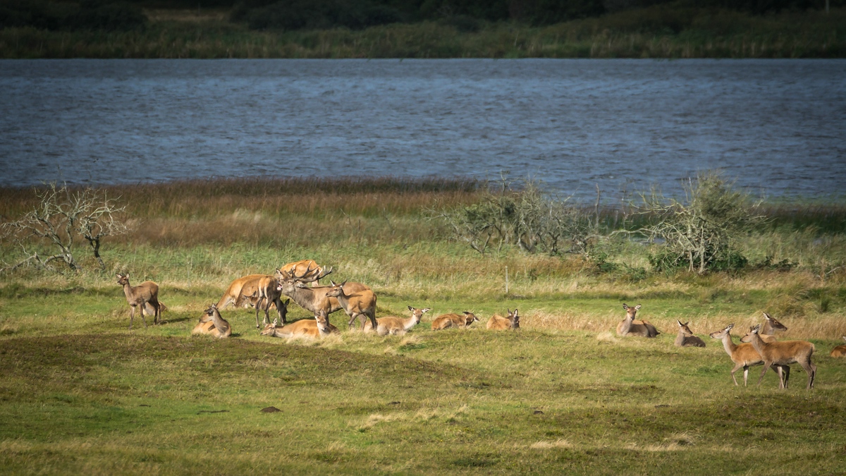 comp 20170912 DSC 6425 21