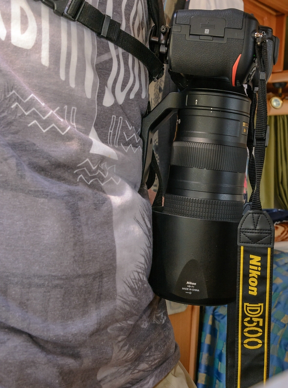 comp 20180530 DSC 75341