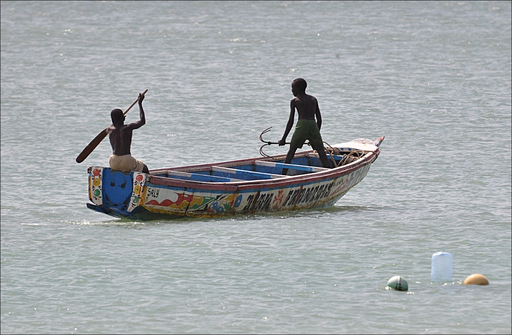 comp 2Senegal 1 342b
