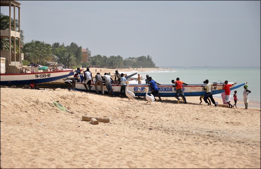 comp 5Senegal 3 027b