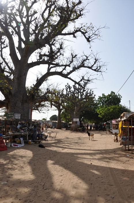 comp 5Senegal 3 102b