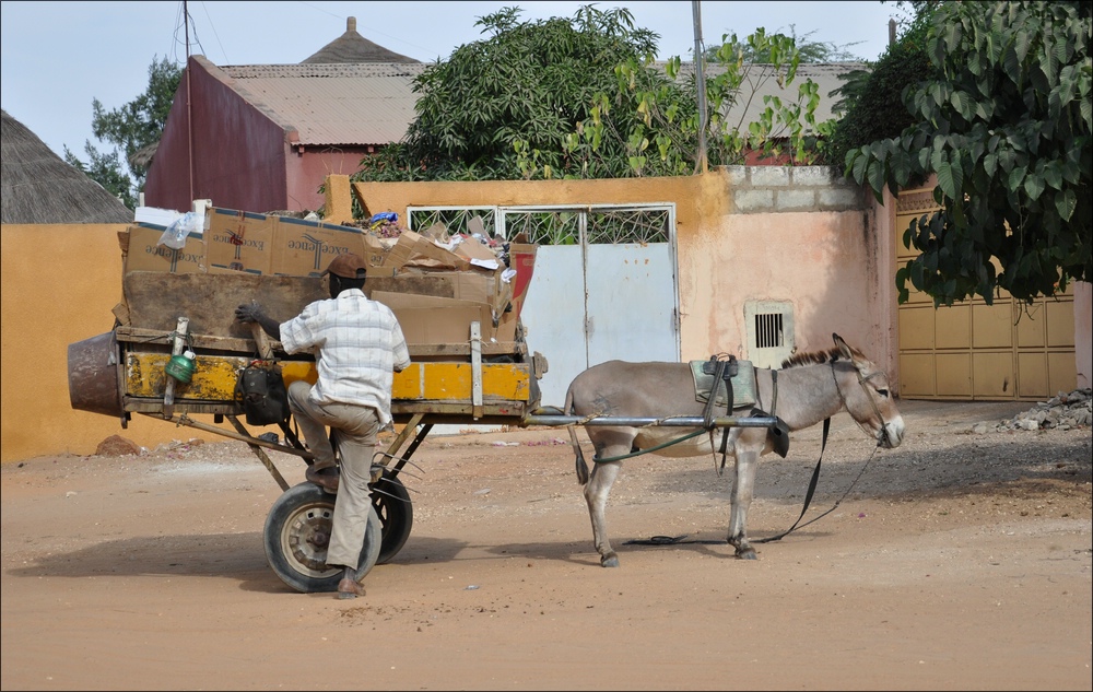 comp 6Senegal 3 046b