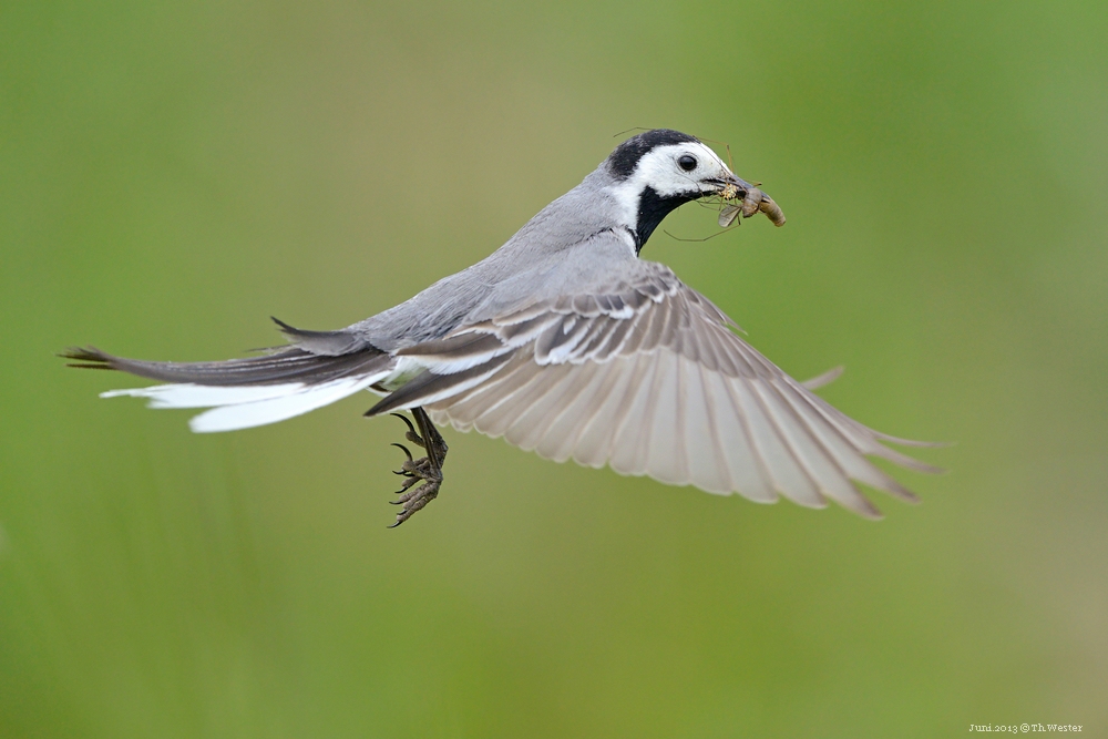 comp Akt.Juni (14)