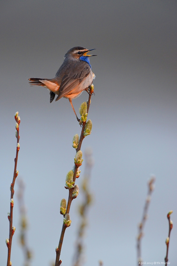 comp Akt.Texel (3)