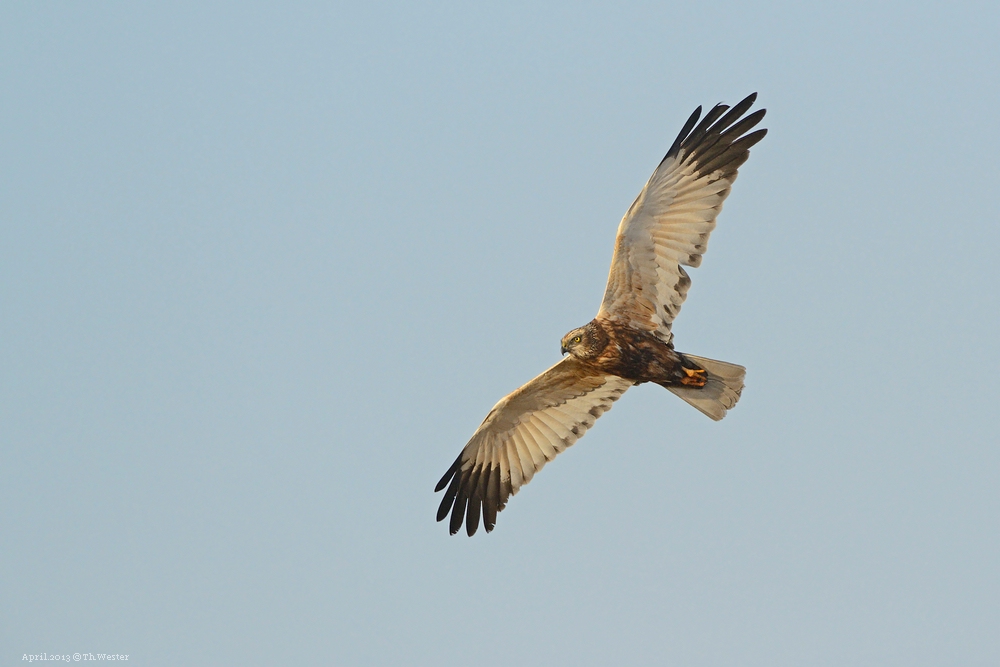 comp Akt.Texel (5)