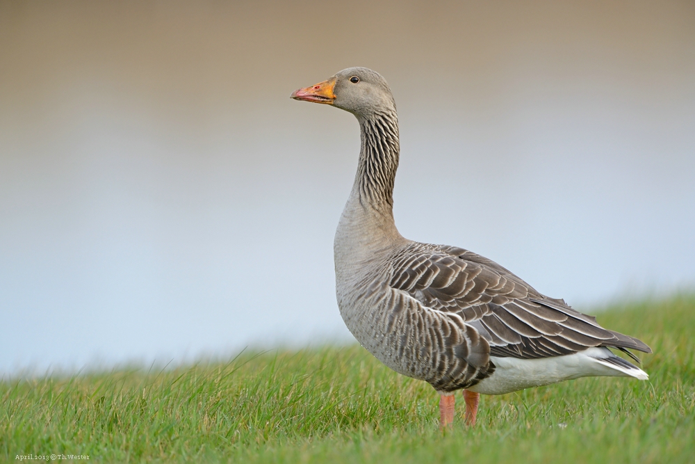 comp Akt.Texel (7)