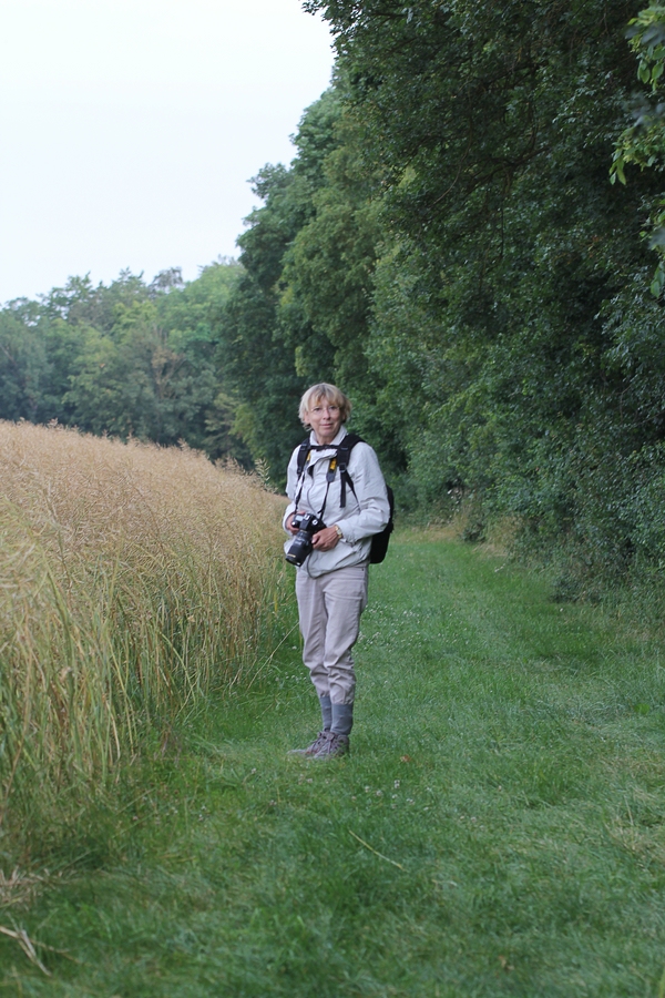 comp am Wegesrand