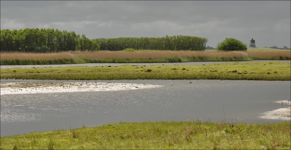 comp bKatinger Watt 803