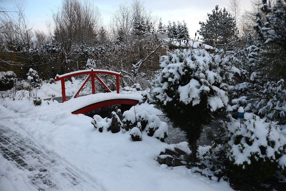 comp Brücke Jan2013