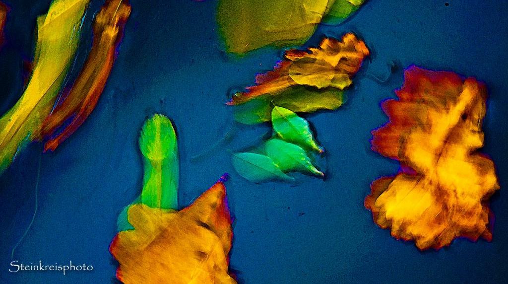 comp Bunte Blätter fractal