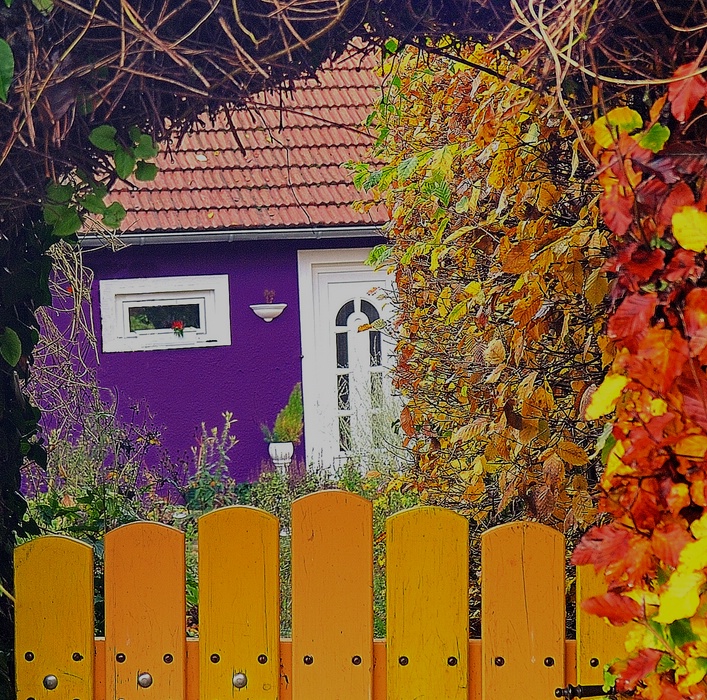 comp Bunter Herbst 2