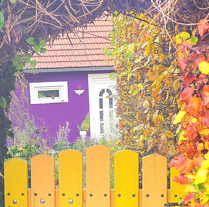 comp Bunter Herbst