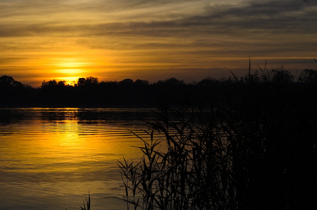 comp D7T 3209

Sunset am Scharmützelsee Landkreis Oder Spree
Oktober 2012

objektiv: Tamron SP AF 17-50mm F/2.8 XR Di II VC