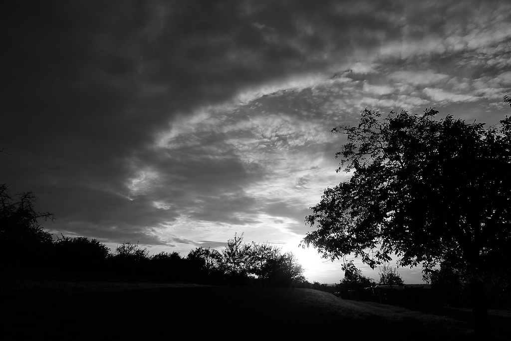 comp D800 20141008 10216 sw