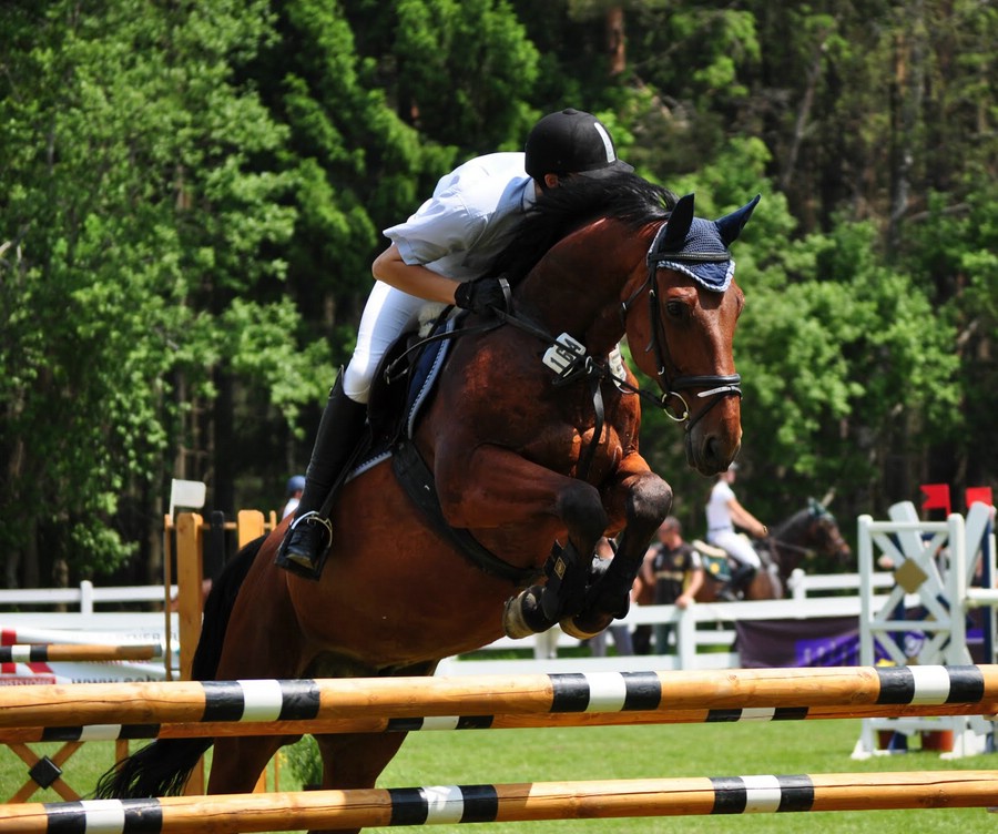 comp DSC 0081